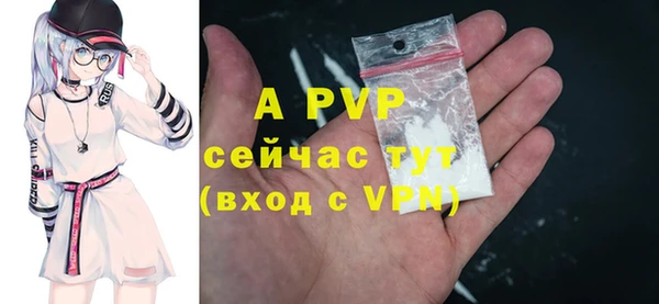 ПСИЛОЦИБИНОВЫЕ ГРИБЫ Пересвет