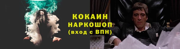 гашик Переславль-Залесский