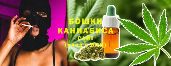 ПСИЛОЦИБИНОВЫЕ ГРИБЫ Пересвет
